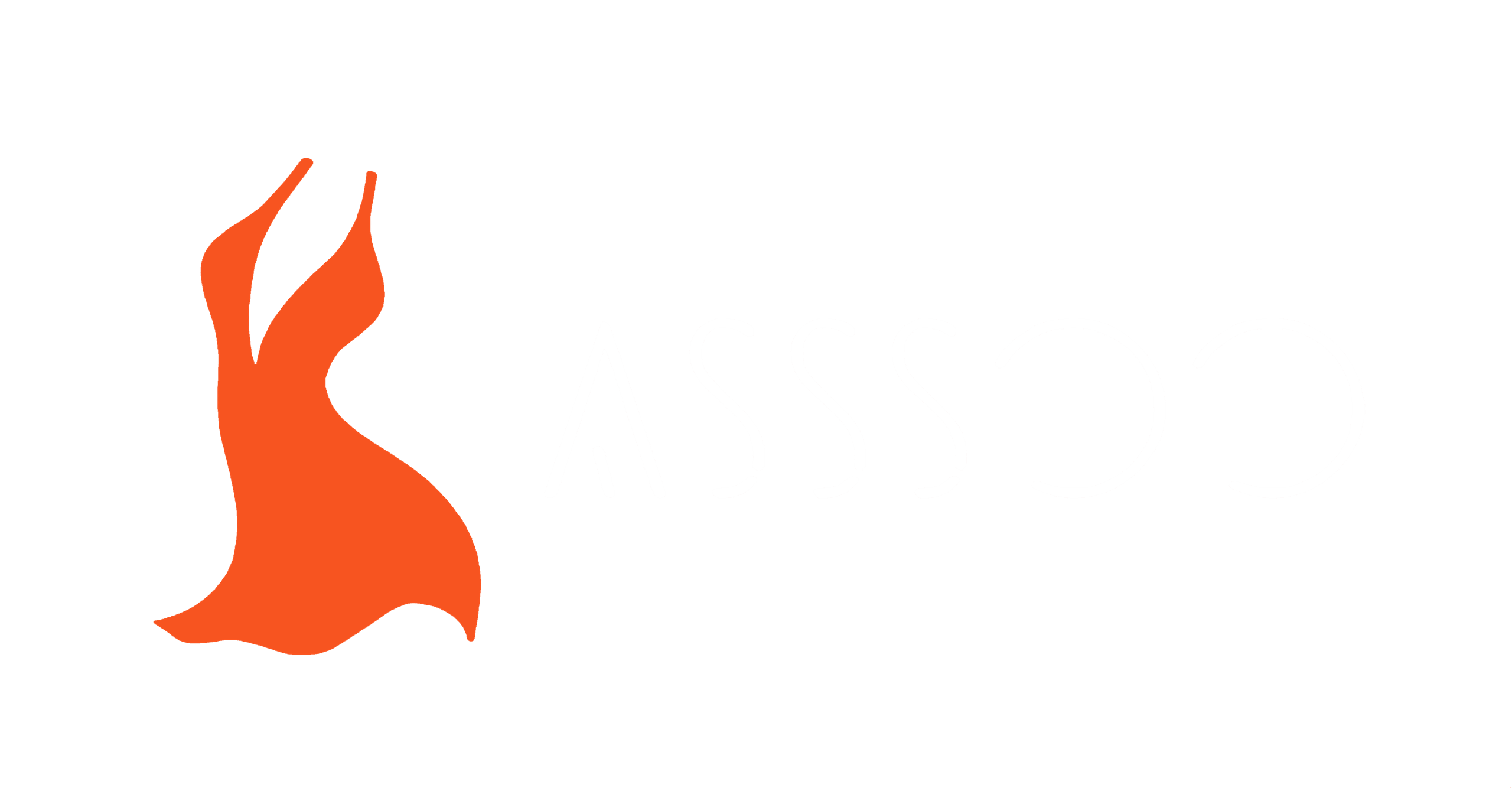 asssoo.com